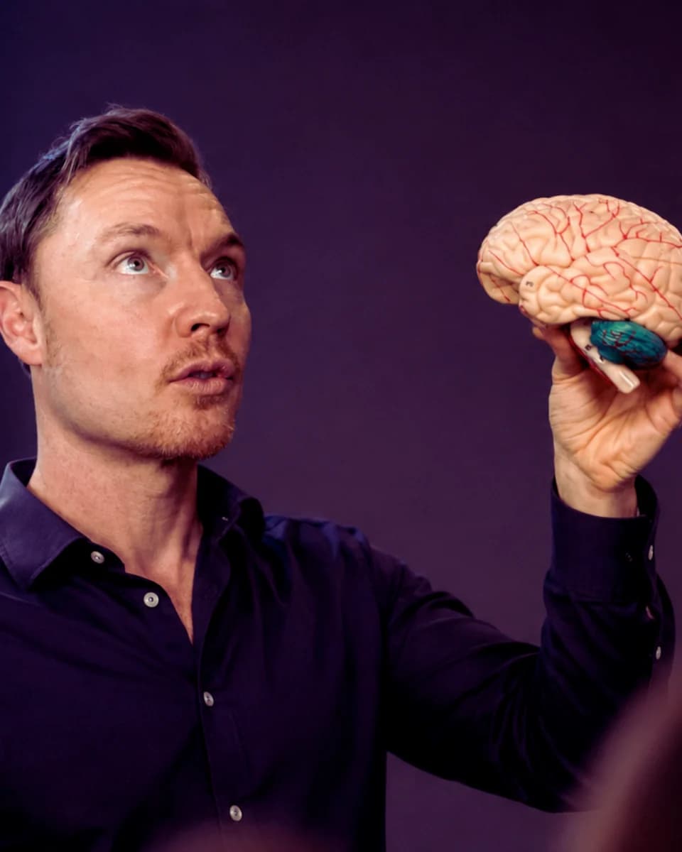 Bradley Hook examining a model of the human brain