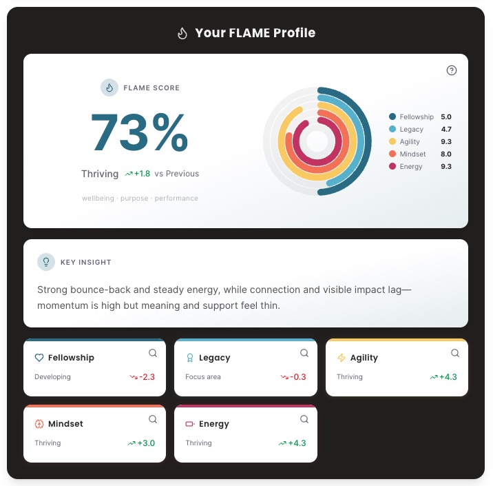 Flame Profile overview